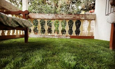 CESPED SINTETICO DECORATIVO