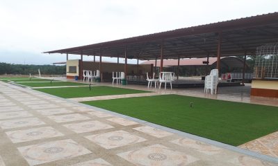 CESPED SINTETICO DECORATIVO