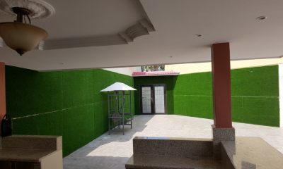 CESPED SINTETICO DECORATIVO