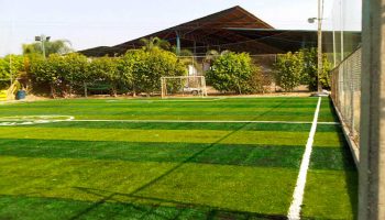 CESPED SINTETICO DEPORTIVO